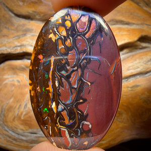 52.6cts - Tribal Queensland Boulder Opal from Yowah