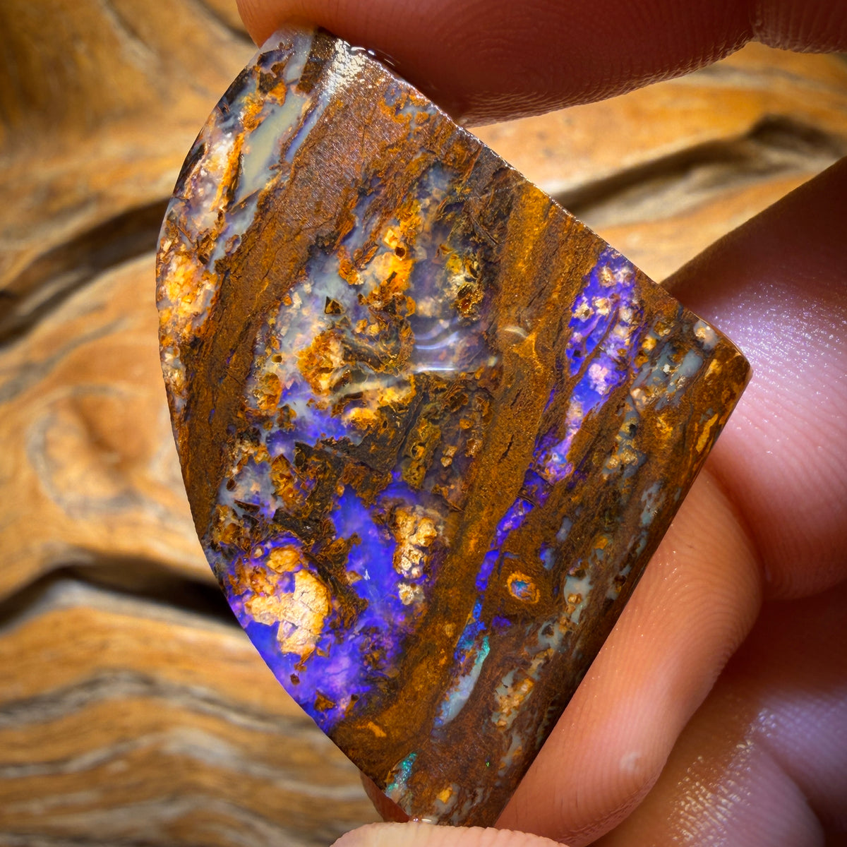 52.6cts - Vegetation Fossil Replacement Boulder Opal Rub. Double Sided!