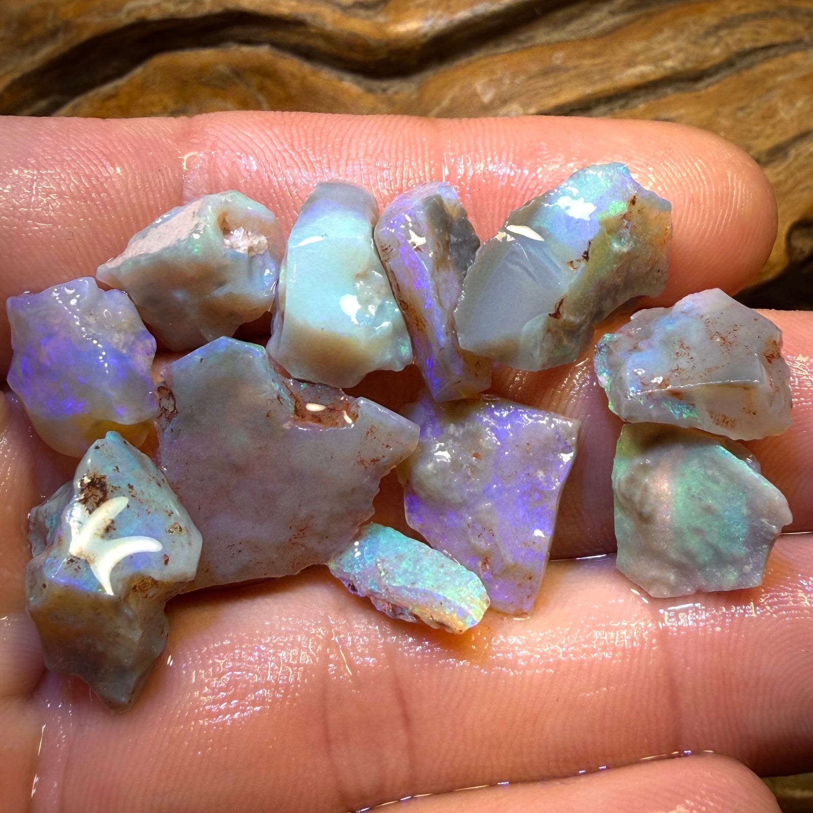 52.9cts - 11x Lightning Ridge Opal Rough Parcel