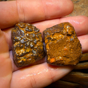 126.2cts - Yowah Nut Tribal Opal Rough Specimen Pair
