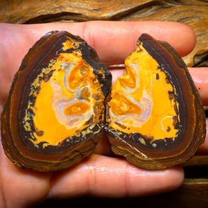 521cts - RARE Yowah Nut Partial Crystal Centre Rough Specimen Pair