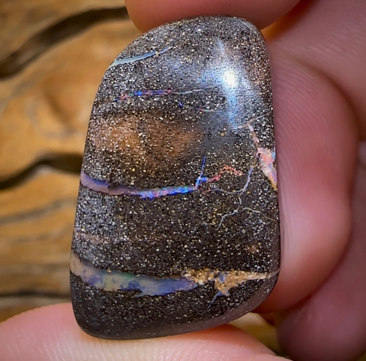 54.2cts - Australian Boulder Seam Opal from Opalton - Opal Whisperers