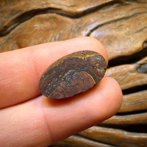 16.5cts - “Electric Boogaloo Bargain” Queensland Boulder Opal from Yowah