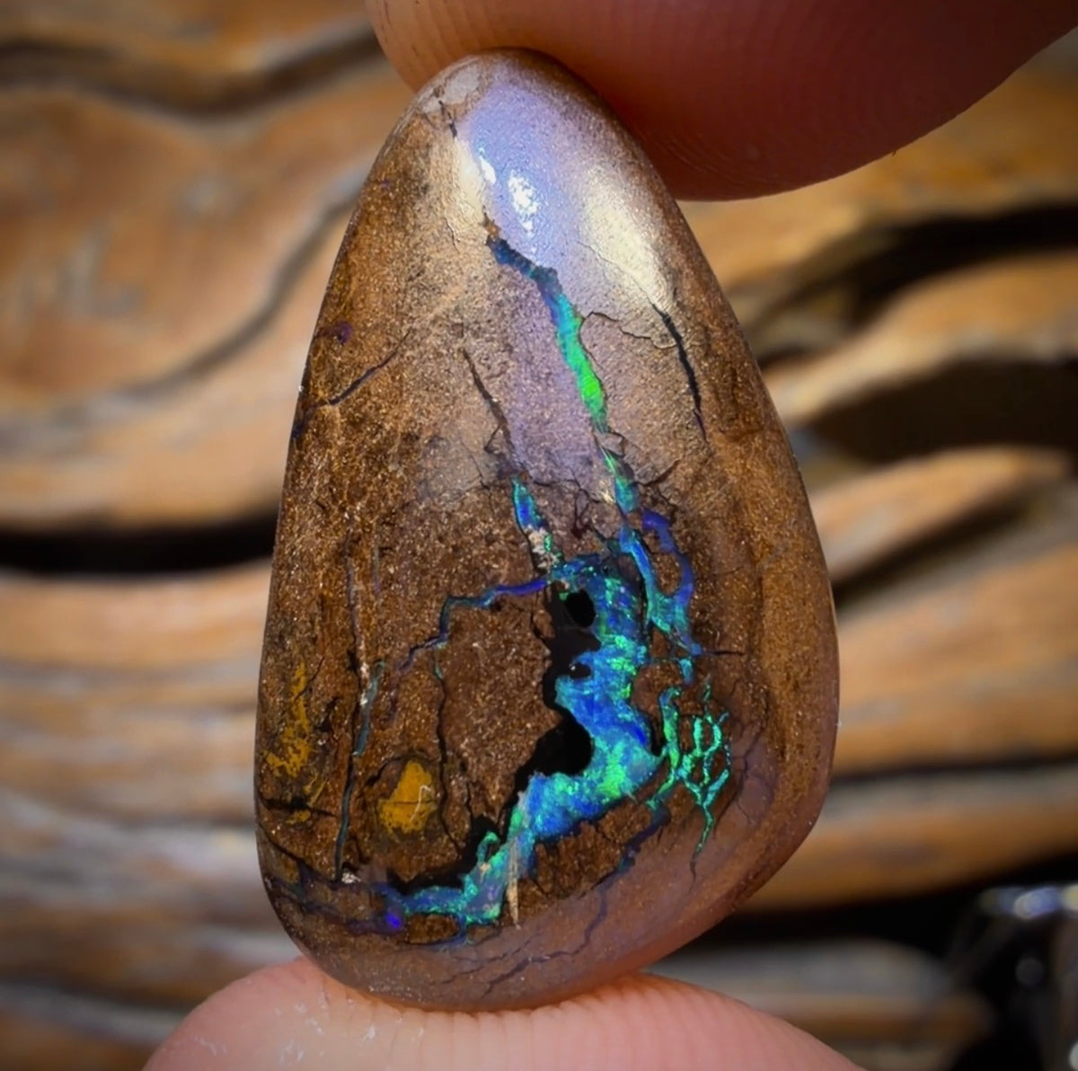 22.3cts - “Donna”Queensland Boulder Seam Opal Picture Stone