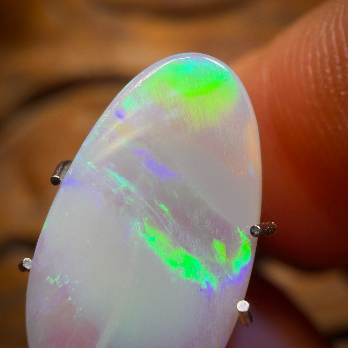2.7cts - Lightning Ridge Solid Light Opal