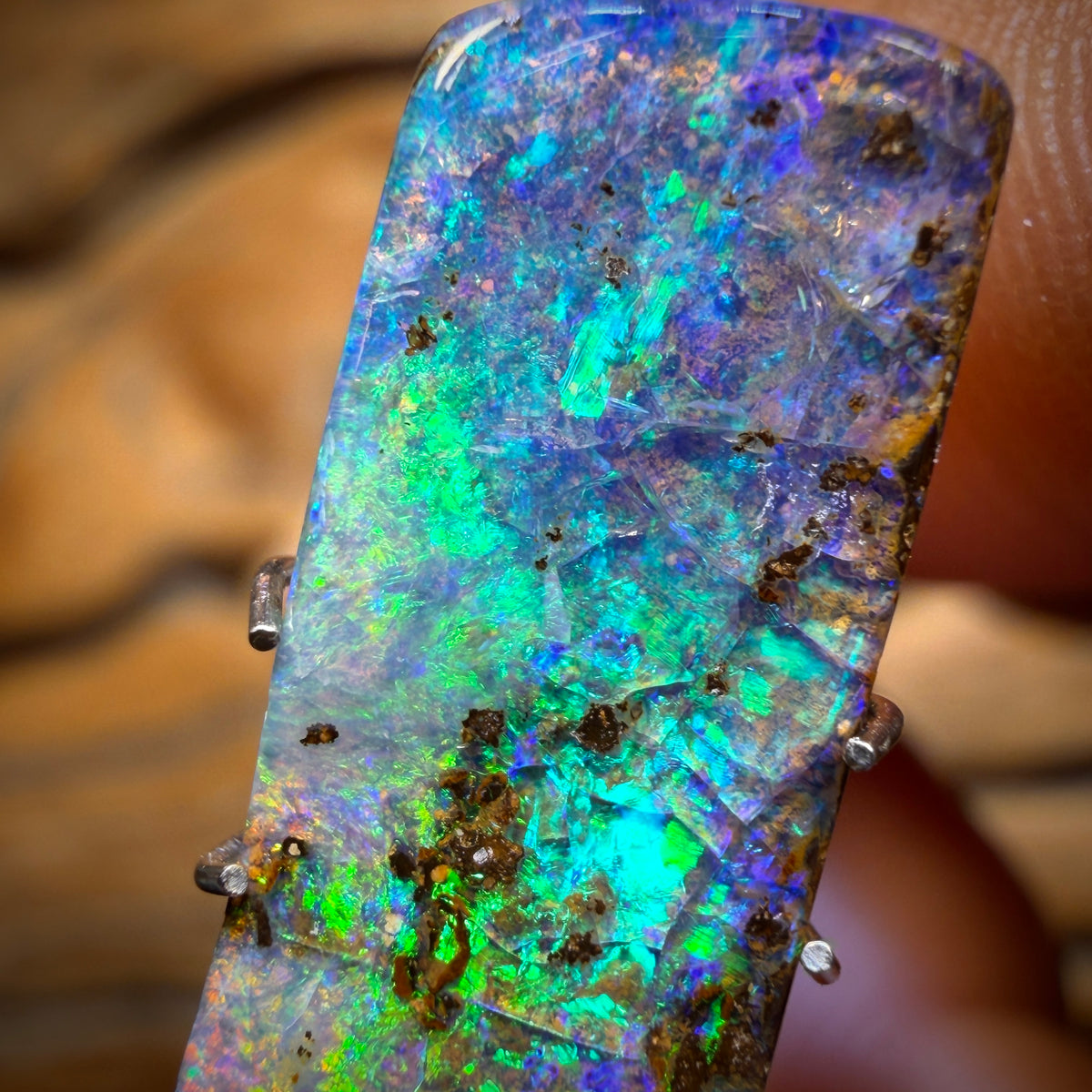 🔨 AUCTION 🔨 6.7cts - Queensland Boulder Seam Opal
