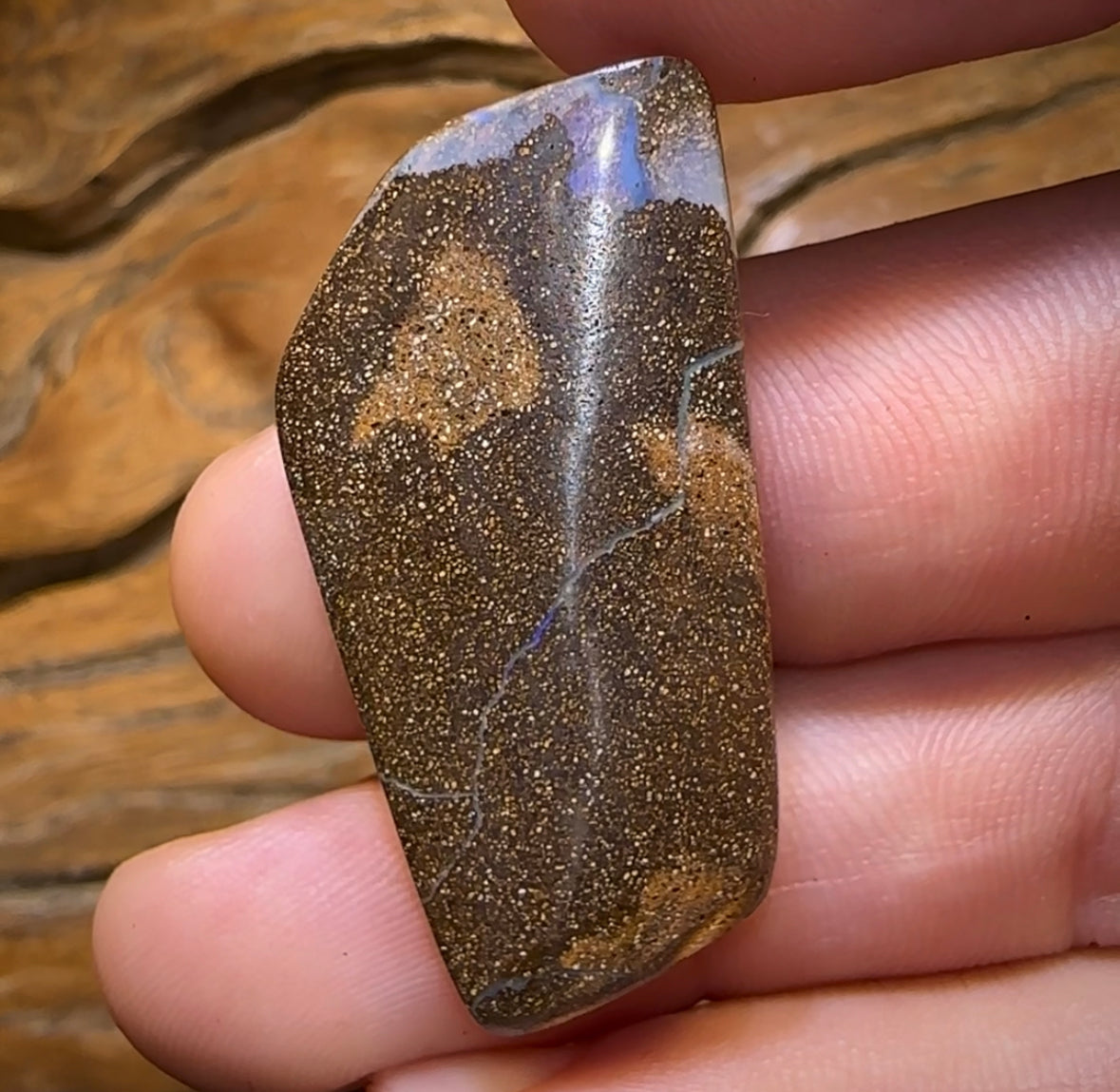 45.7cts - “Tidal Change” Queensland Boulder Landscape Opal Picture Stone - Opal Whisperers