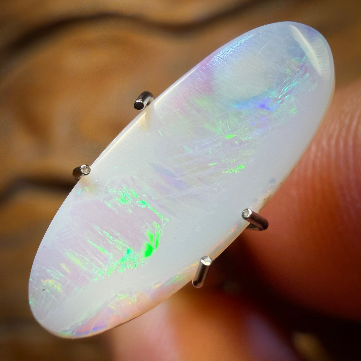 Wildcard! 1.3cts - South Australian White Opal from Coober Pedy