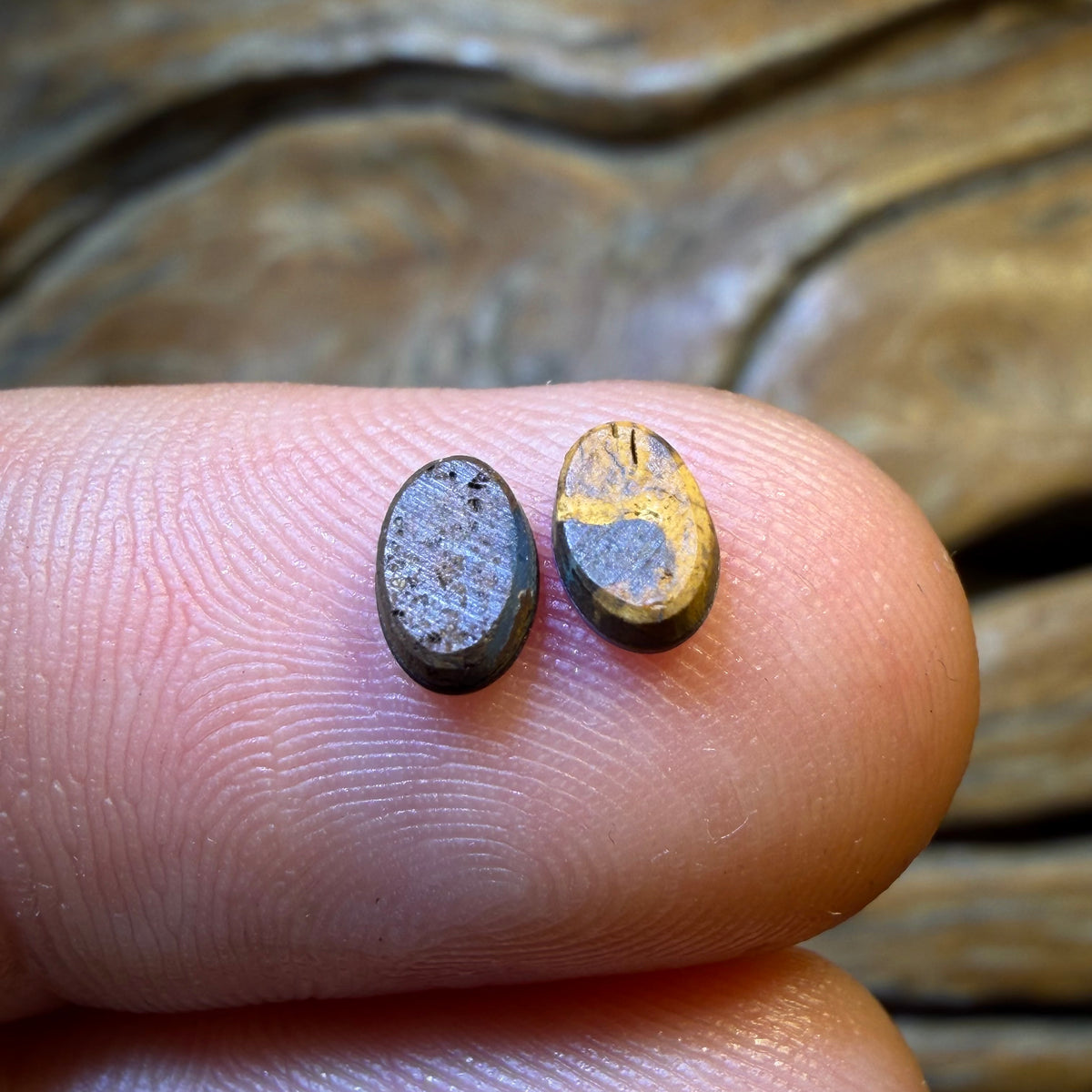 TGIF 0.7cts - Australian Boulder Opal Doublet Pair