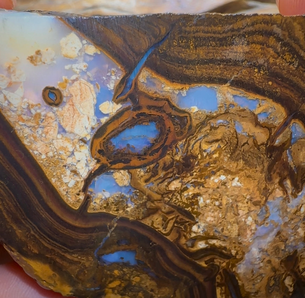 306.3g - Large Yowah Nut Opal Rough Slab - Opal Whisperers