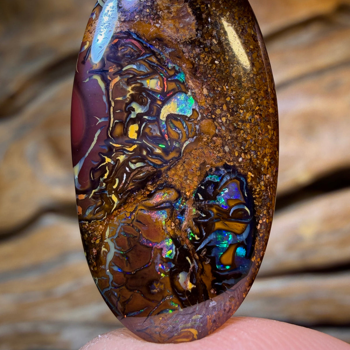TGIF 14.9cts - “That’s Nuts!”Tribal Queensland Boulder Opal. Australian Opal