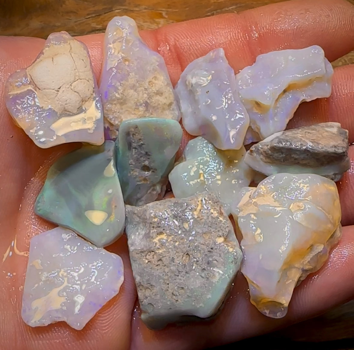 🔒201.2cts - 12x Lightning Ridge Opal Rough Parcel. Serious Cutters!