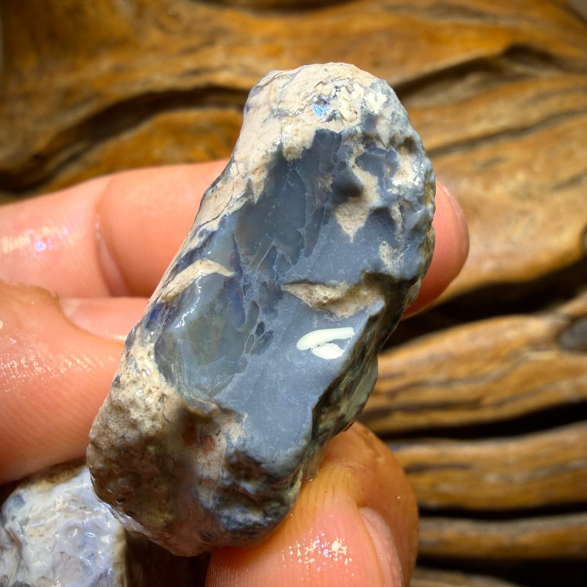 256,7 Karat – 3x Lightning Ridge Opal-Rohsteine