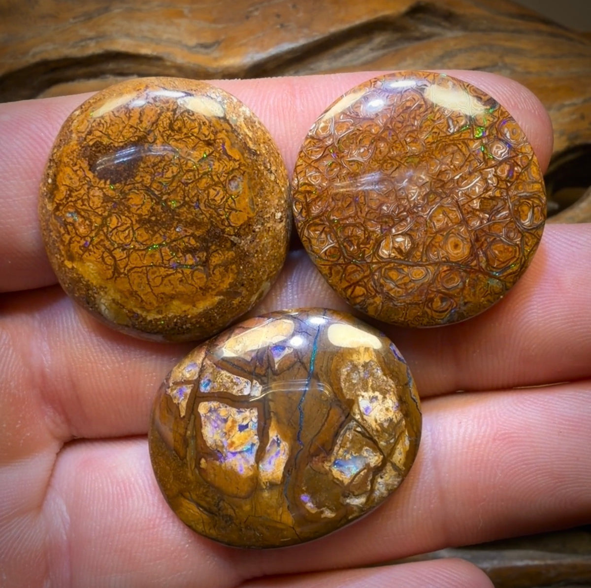 83.1cts - 3x Australian Tribal Boulder Opal’s. Wholesale Dealers Parcel