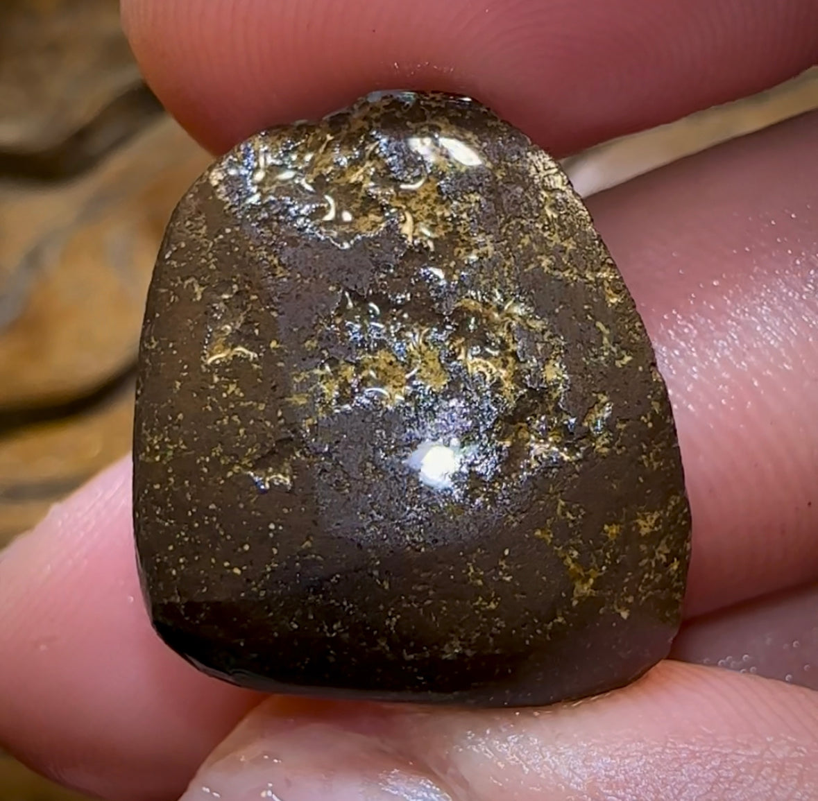 30.1cts - Australian Boulder Opal Rough Preform. Natural Split - Opal Whisperers