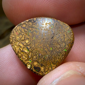 16.6cts - Yowah Nut Opal. Tribal Pattern