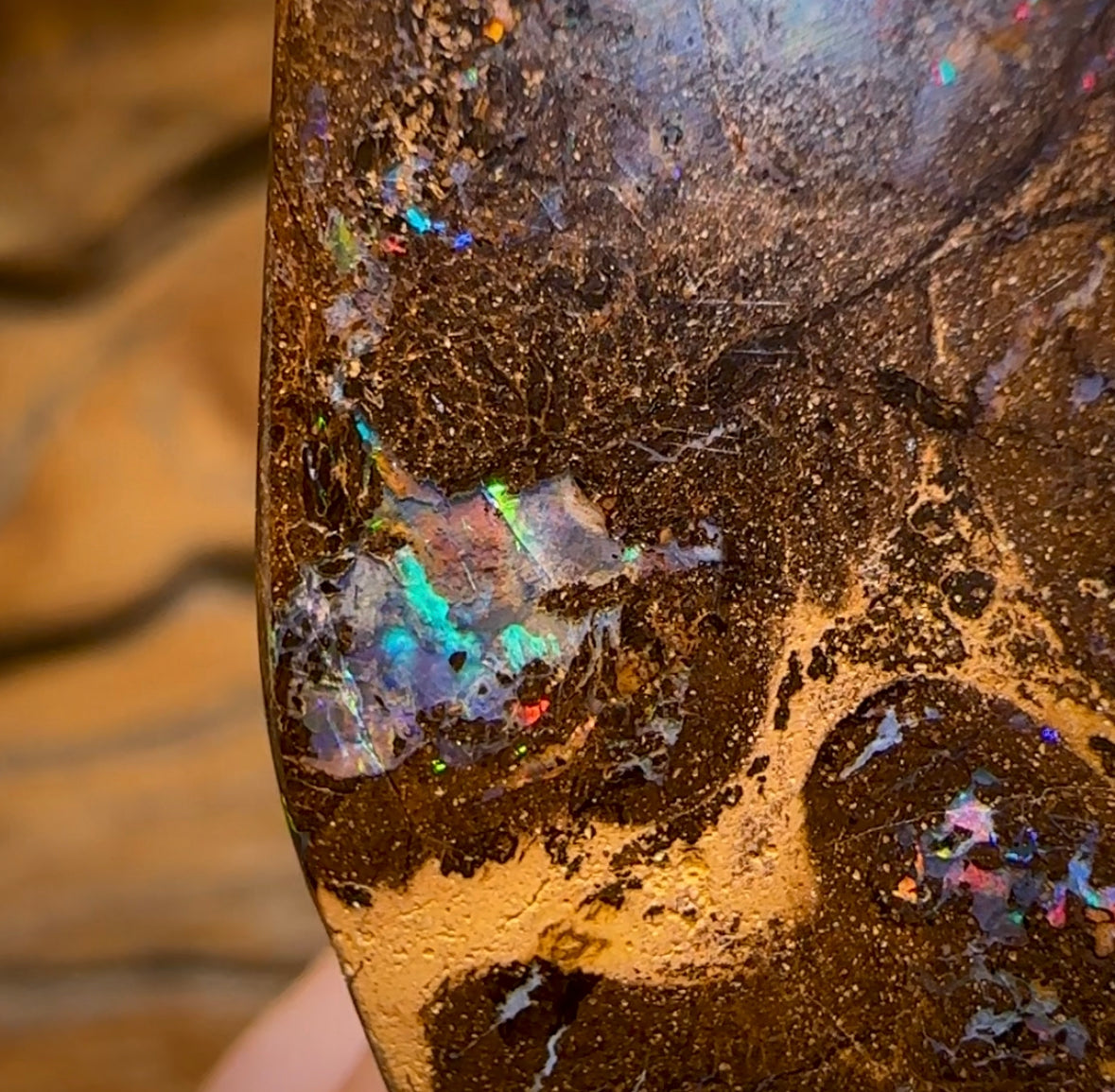 61.3cts - Electric Bubble Band Opal from Winton - Opal Whisperers