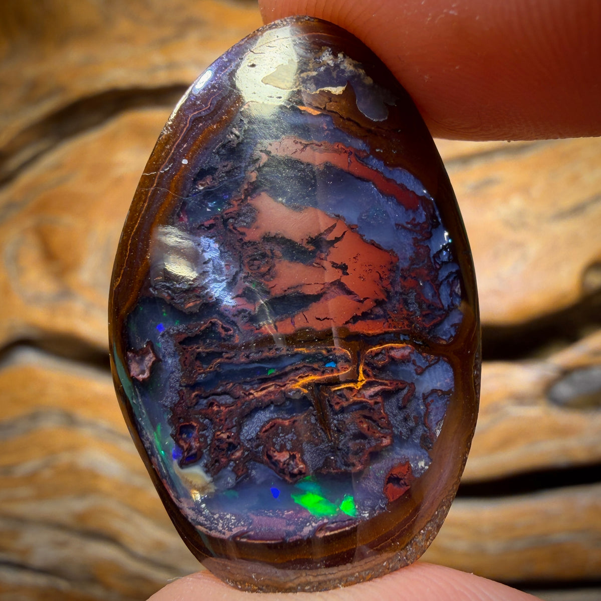 53.6cts - Yowah Nut Kernel Opal. Polished Specimen