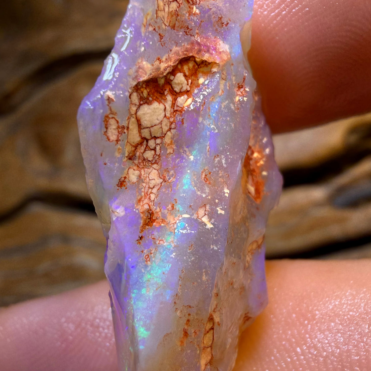 33.1cts - Lightning Ridge Crystal Opal Rough Piece