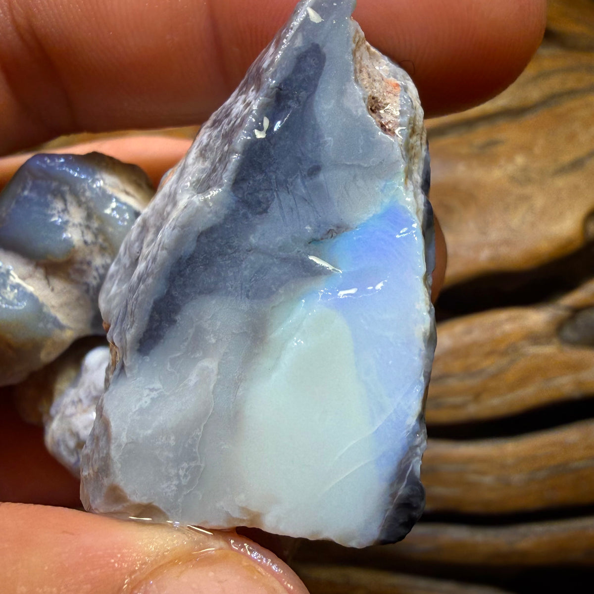 252.3cts - 3x Lightning Ridge Opal Rough Parcel