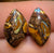 12.8cts - Yowah Nut Opal Pair - Opal Whisperers