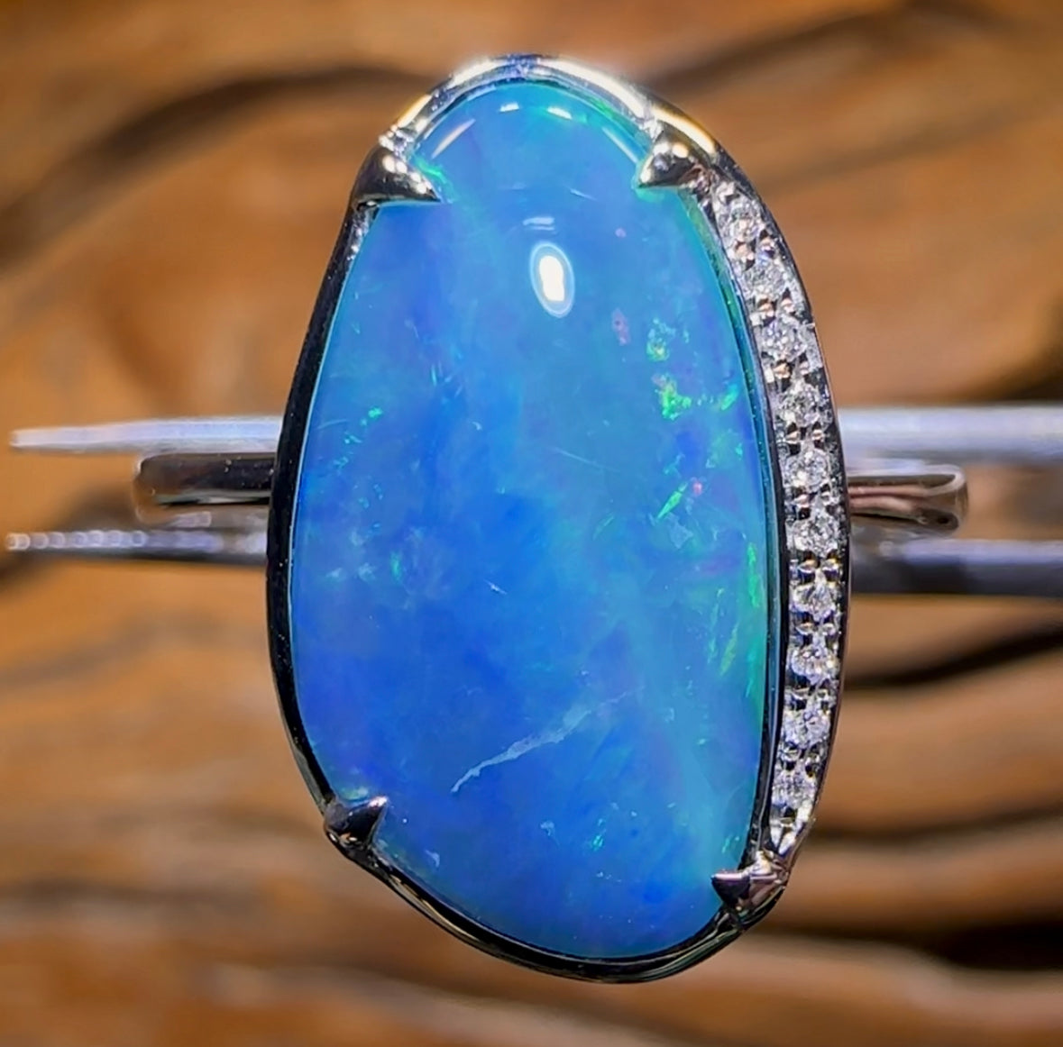 14k White Gold - Queensland Boulder Opal Doublet Ring - Opal Whisperers