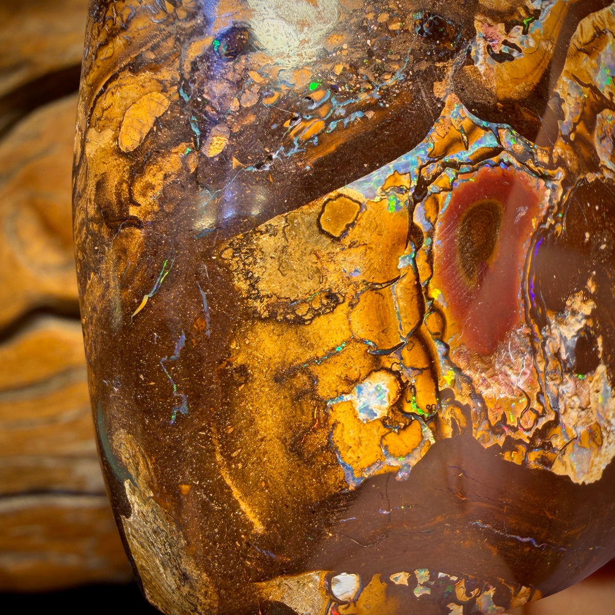 678,5 cts - Grand spécimen poli d'opale boulder australienne tribale