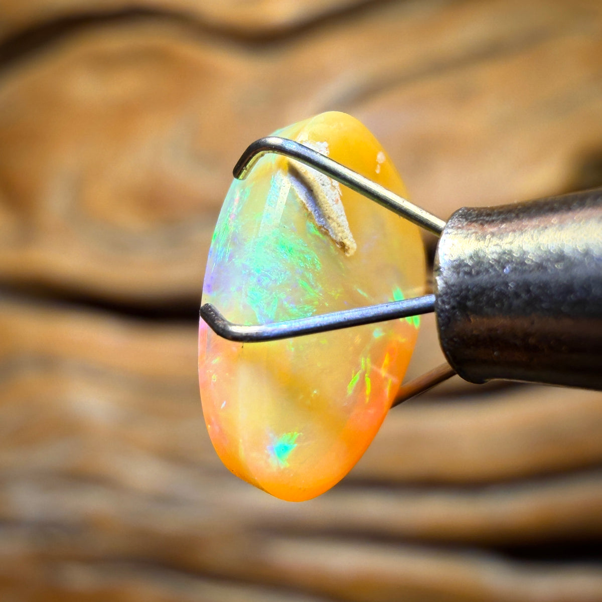 1,9 ct - Massiver australischer Boulder-Pipe-Opal mit goldenen Kristallen