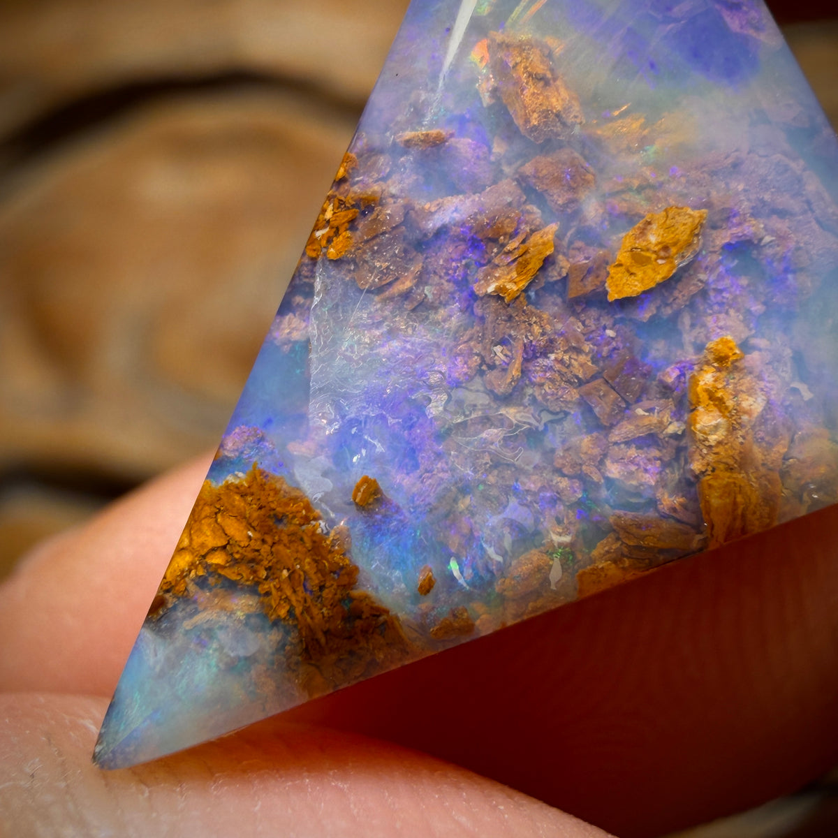 WILDCARD! 13.7cts - Wood Fossil Replacement Boulder Opal from Yowah