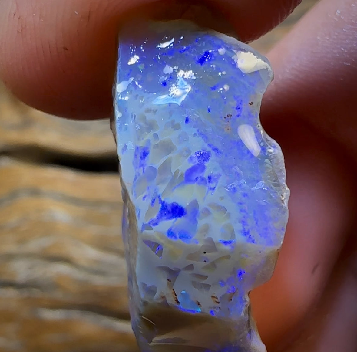 33.6cts - Lightning Ridge Opal Rough Piece