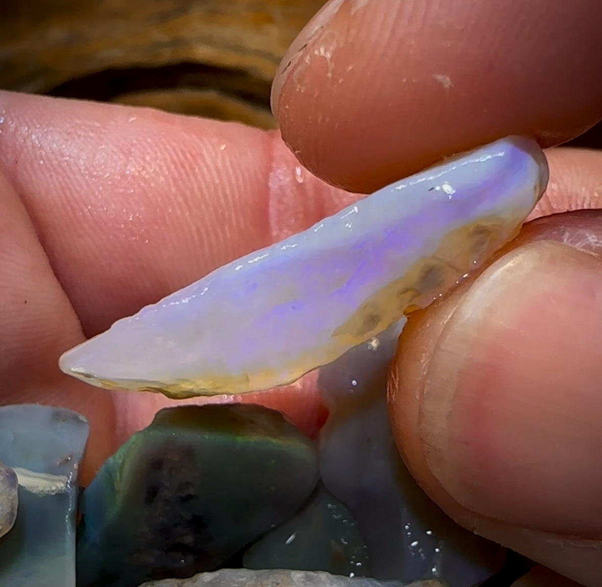 🔒201.2cts - 12x Lightning Ridge Opal Rough Parcel. Serious Cutters!