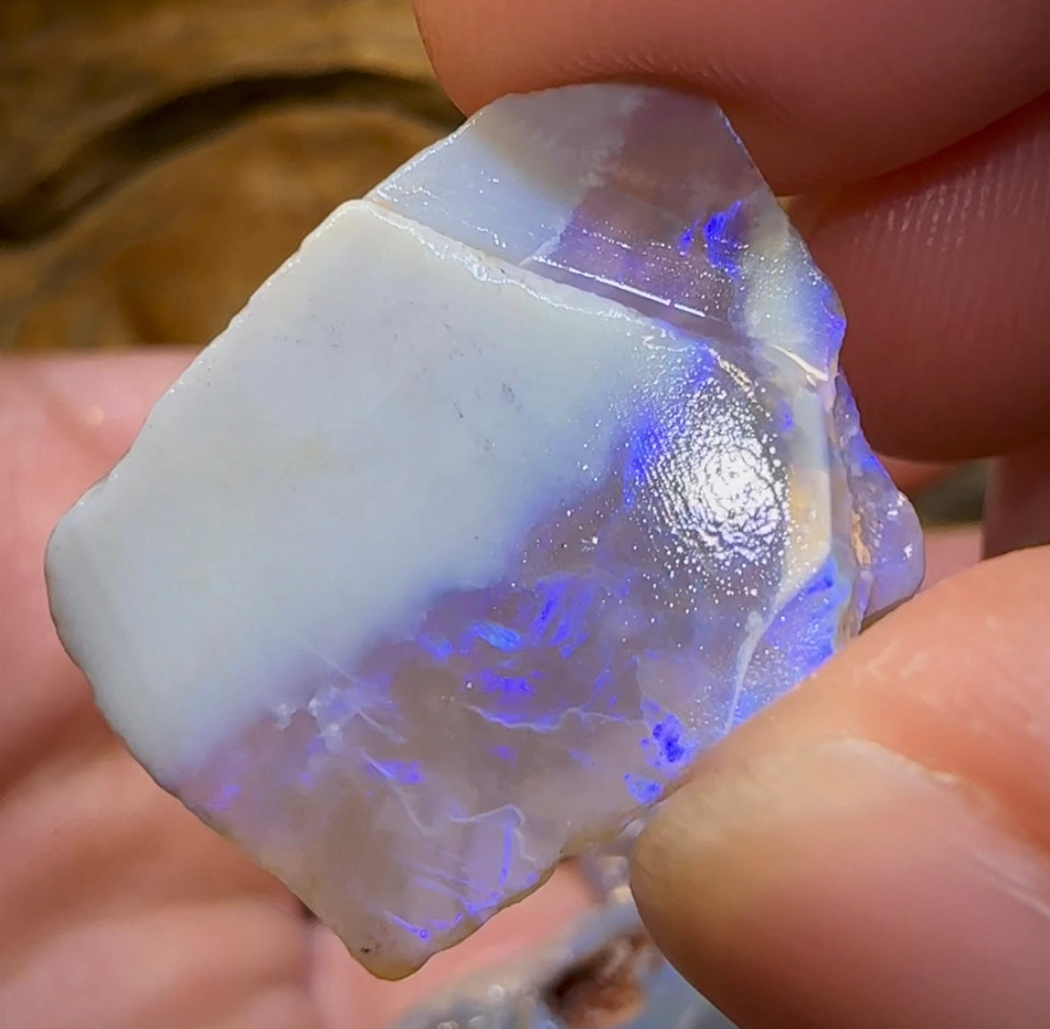 86.2cts - 4x Lightning Ridge Crystal and Dark Opal Rough Parcel - Opal Whisperers