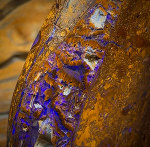 388cts - Large Australian Boulder Wood Fossil Opal Specimen