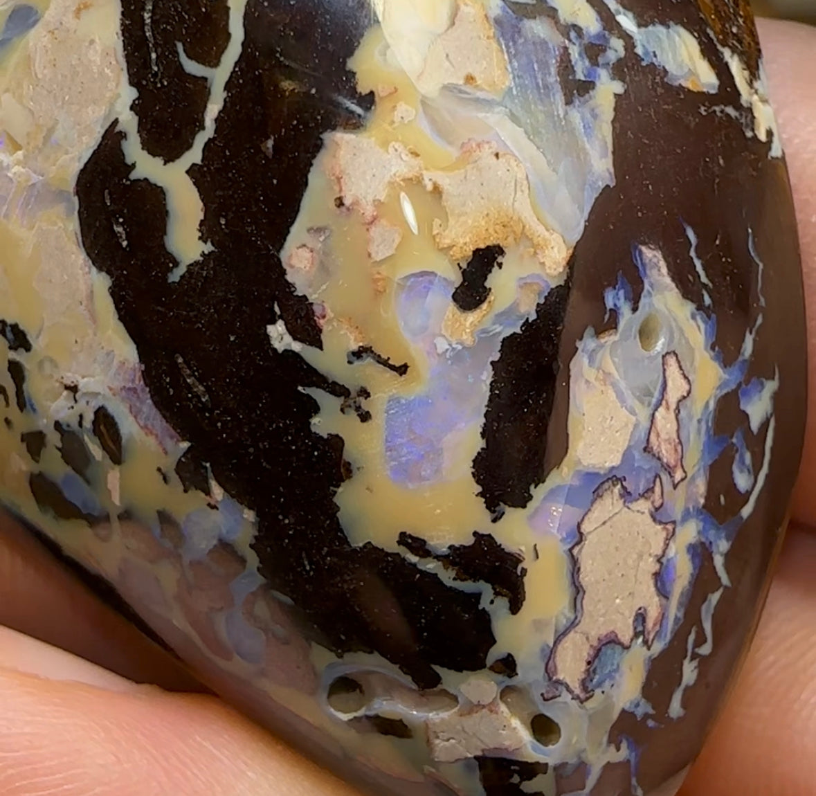 337cts - Australian Boulder Opal White Tribal Specimen Polished - Opal Whisperers