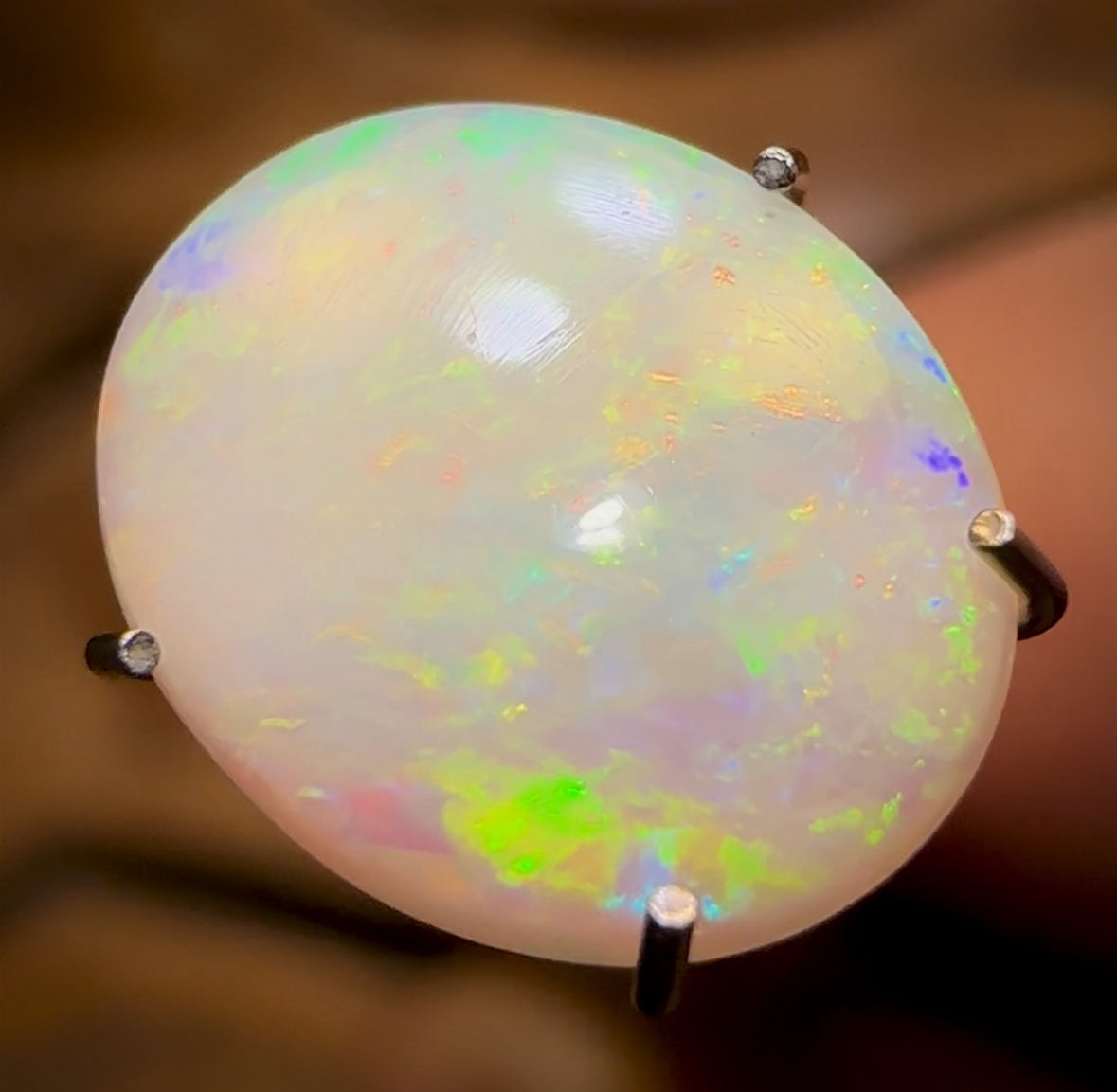 Auction Fall-Through = Your Gain! 🔥 Now More Than 50% Off RRP 🚨 1.65cts - South Australian White Opal