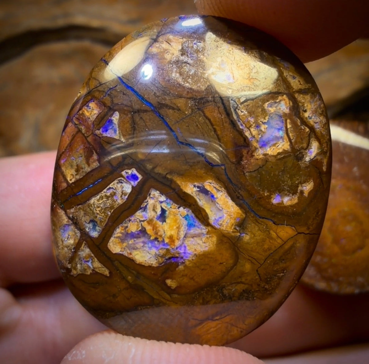 83.1cts - 3x Australian Tribal Boulder Opal’s. Wholesale Dealers Parcel