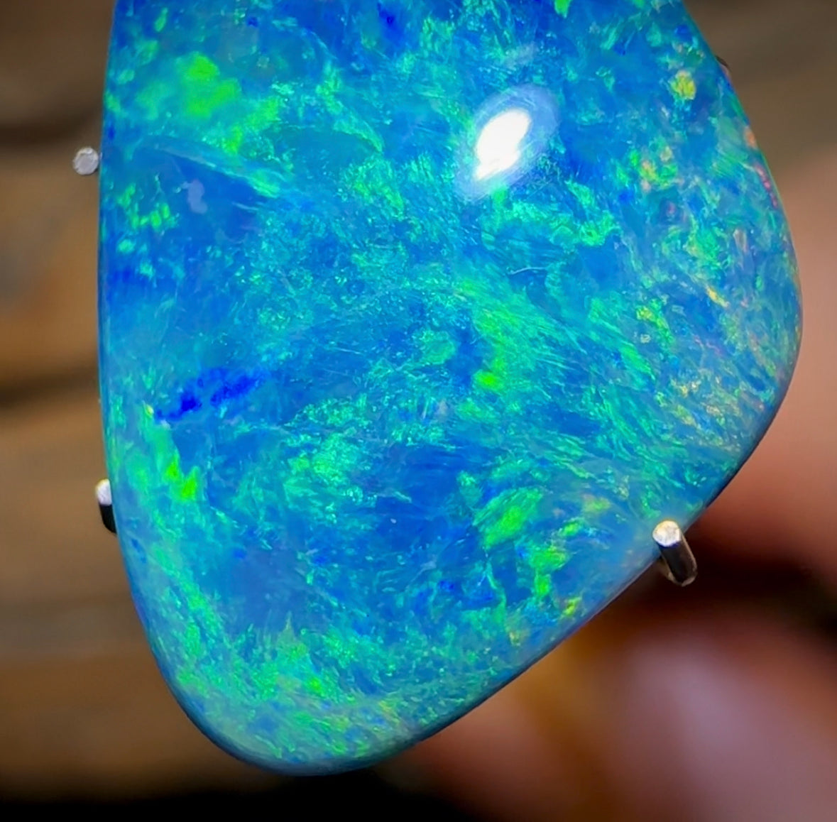 9.4cts - TOP Australian Boulder Opal Doublet. Undulated Pippi Shell - Opal Whisperers