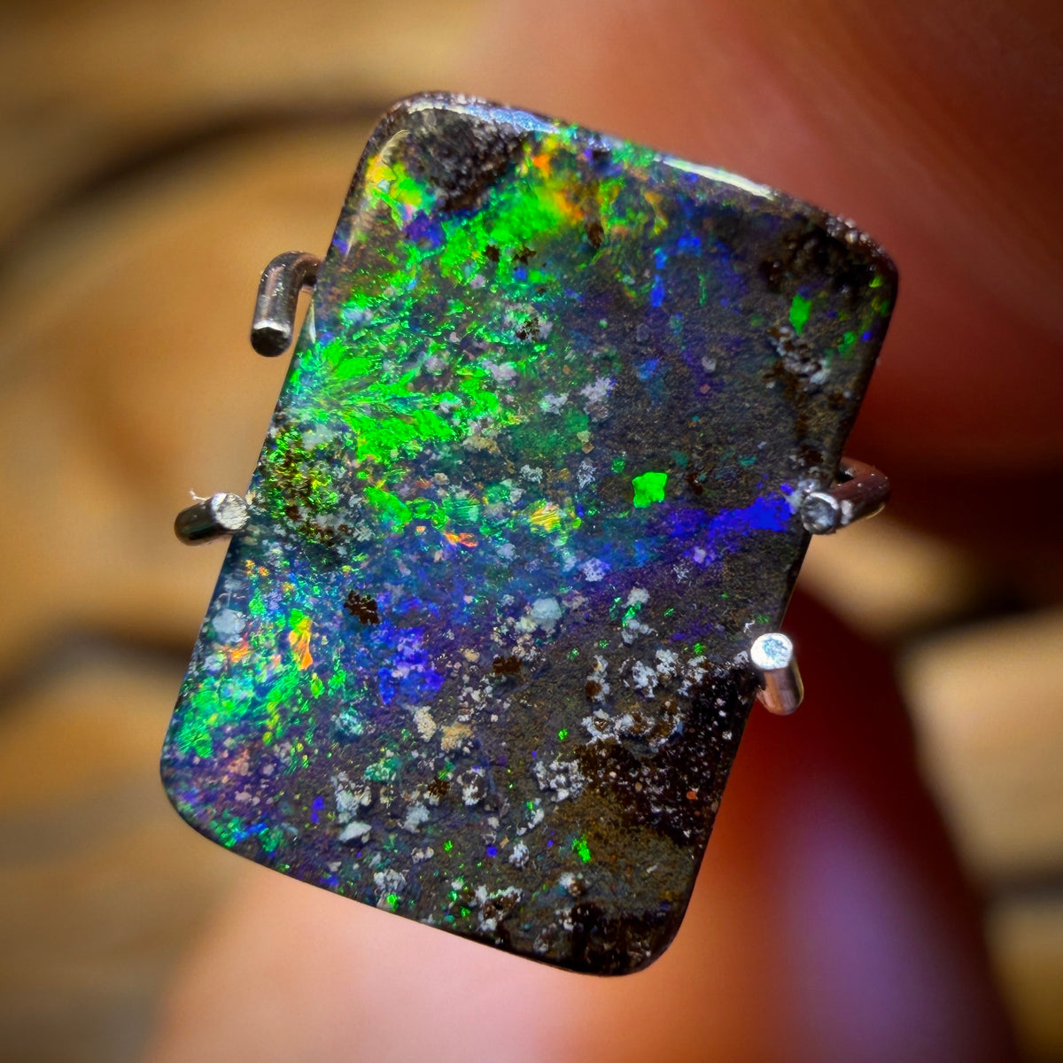 1.5cts - Solid Queensland Boulder Opal