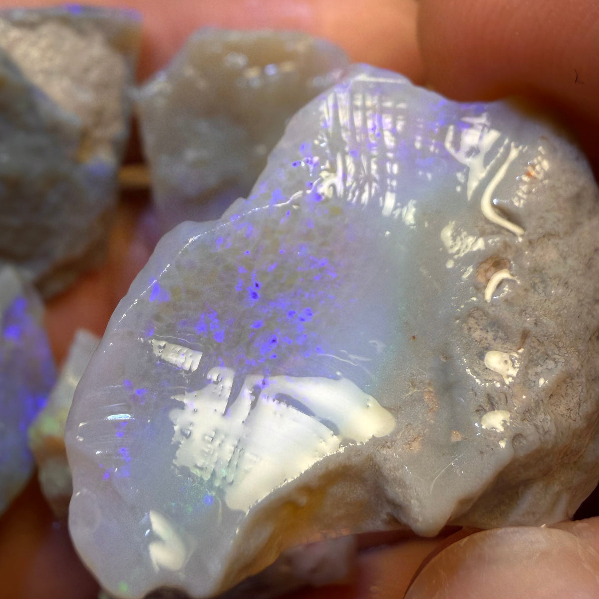 101.5cts - 5x Lightning Ridge Opal Rough Parcel
