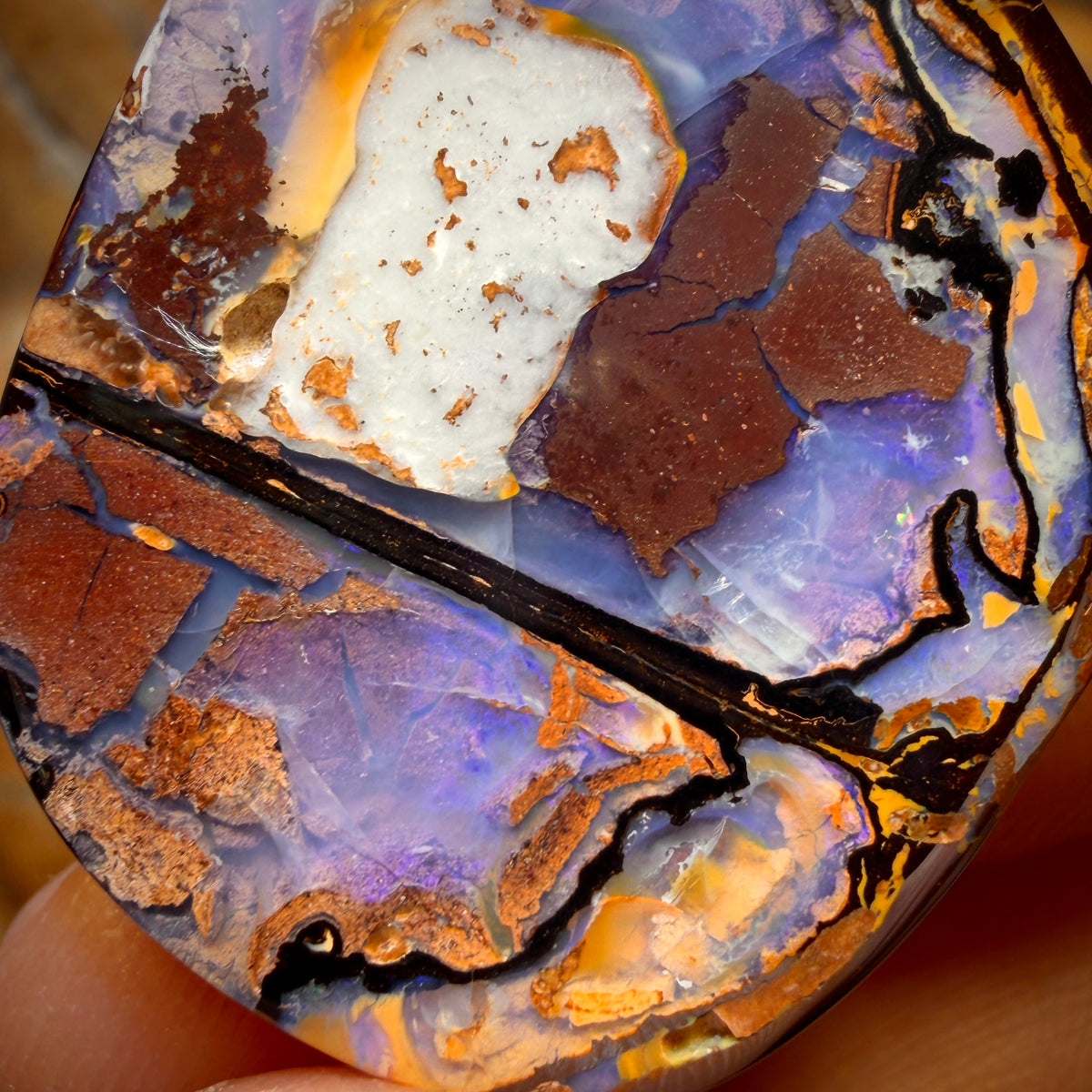 48.4cts - Yowah Nut Kernel Opal. Australian Boulder Opal HALF PRICE BARGAIN