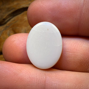 Bargain Card! Auction 11.1cts - South Australian White Opal Inclusions