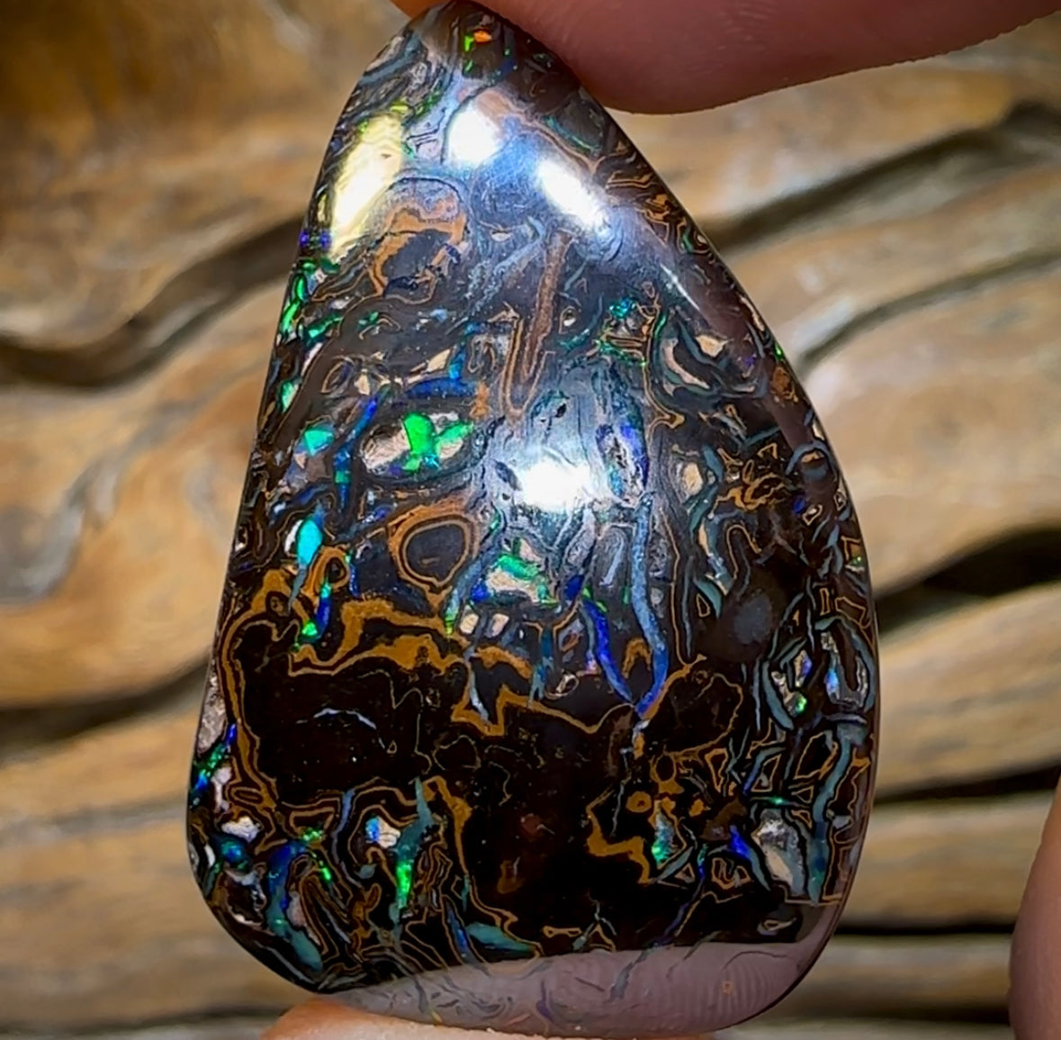 79.2cts - Top Tribal Koroit Black Nut Opal - Opal Whisperers