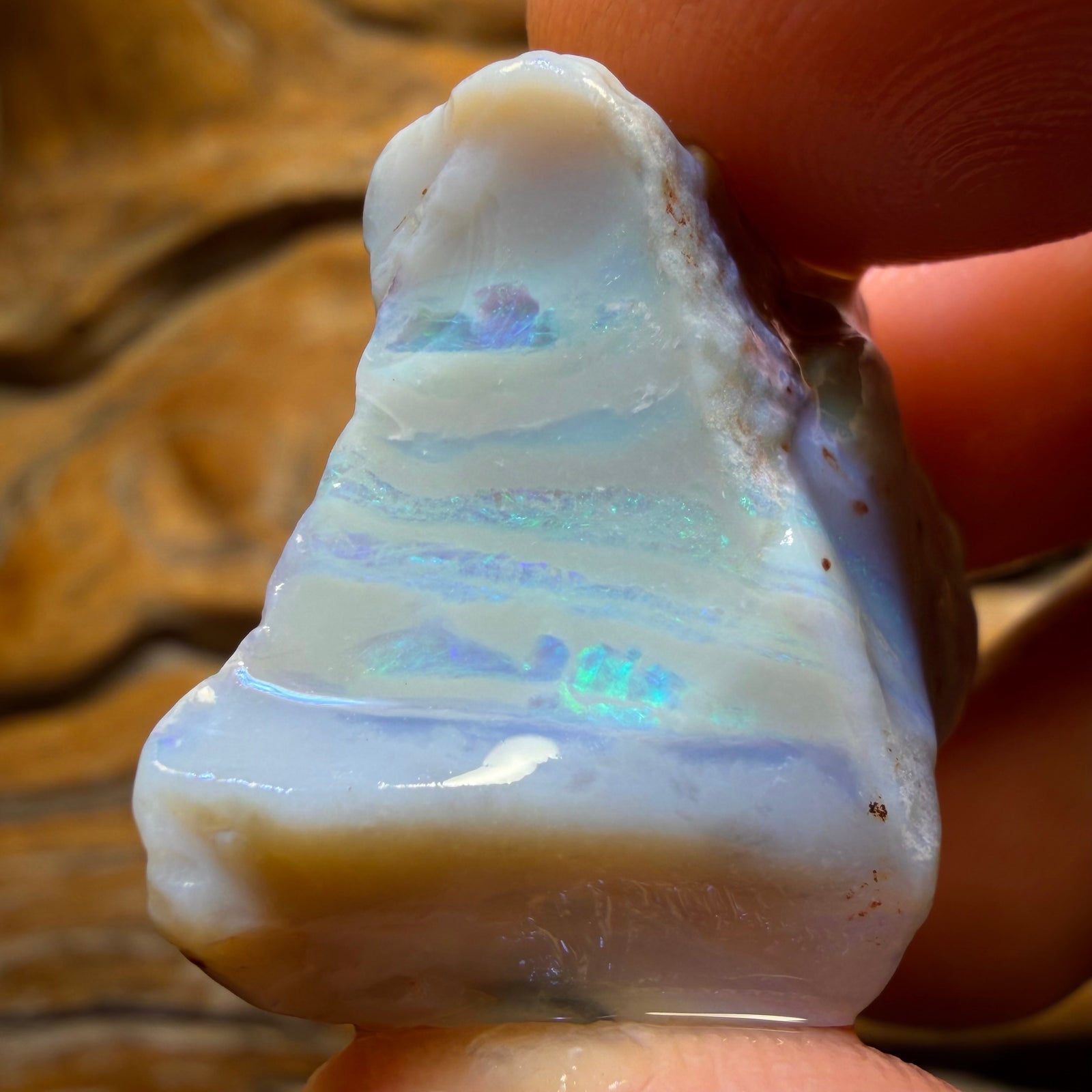 54.4cts - Lightning Ridge Dark Opal Rough Piece