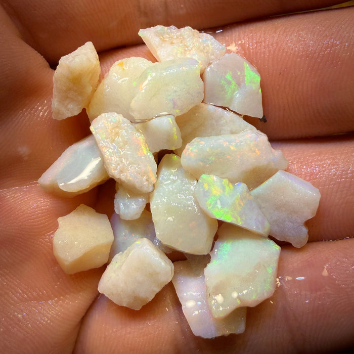 54.6cts - 20x South Australian White Opal Rough Parcel
