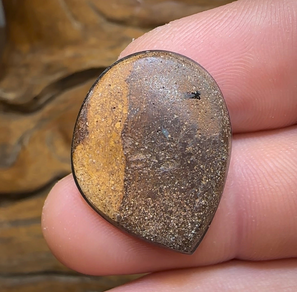 12.8cts - Largest Australian Boulder Opal Doublet Heritage Collection - Opal Whisperers