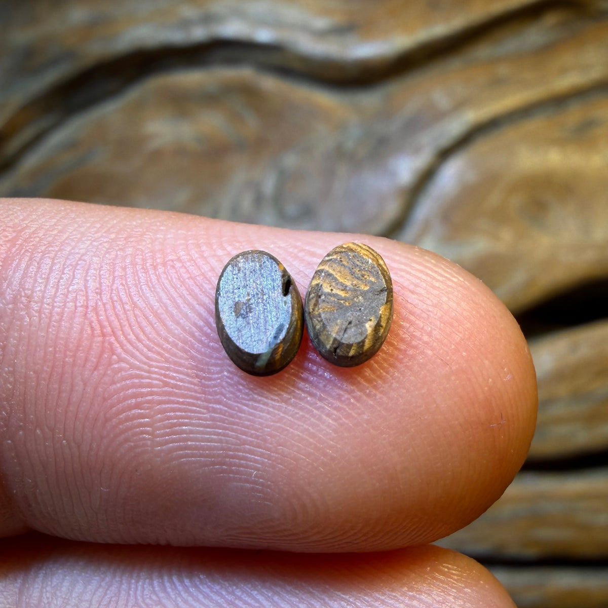 HDW 0.75cts - Australian Boulder Opal Doublet Pair