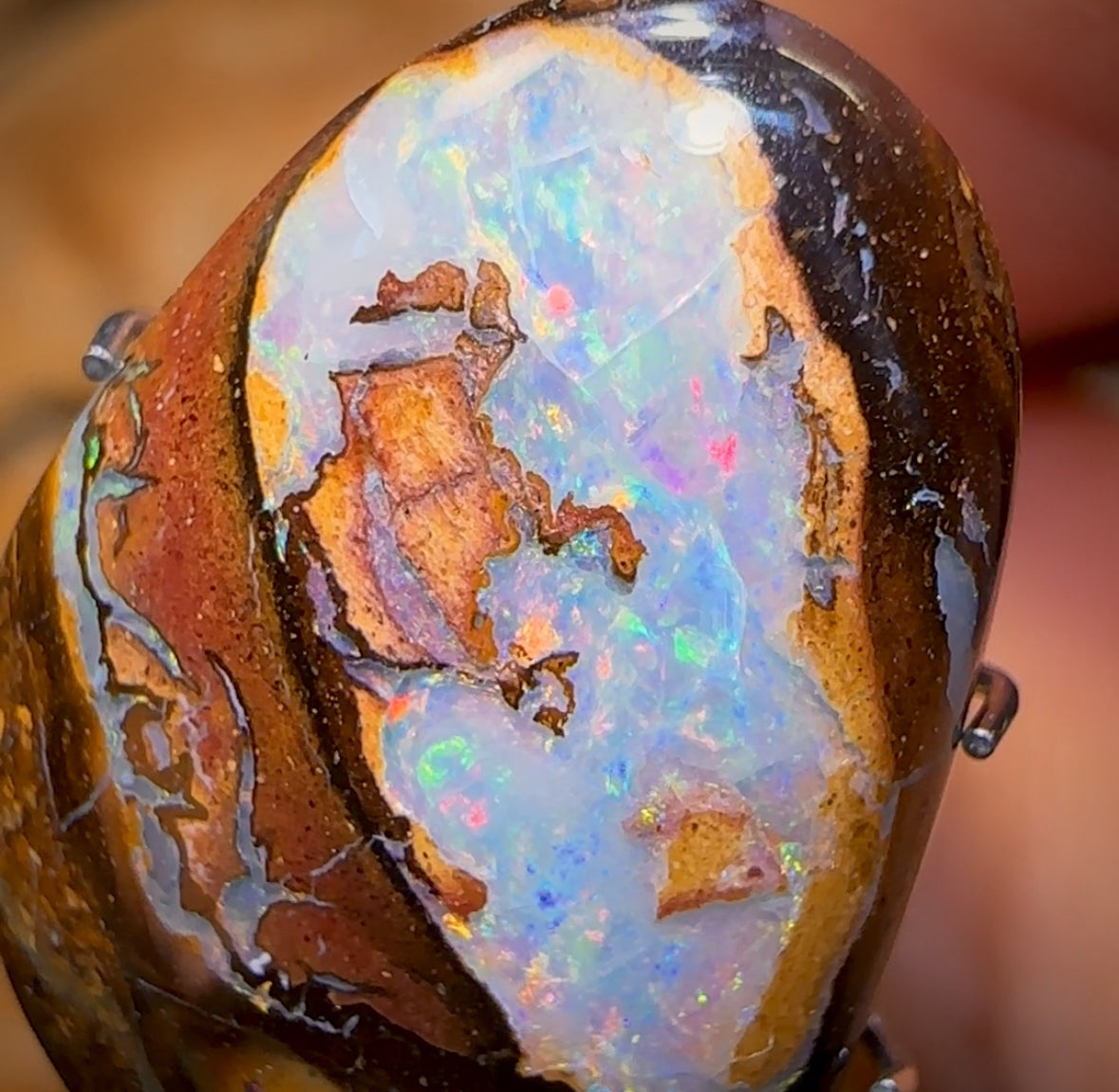 13.1cts - RARE Yowah Nut Crystal Centre Opal