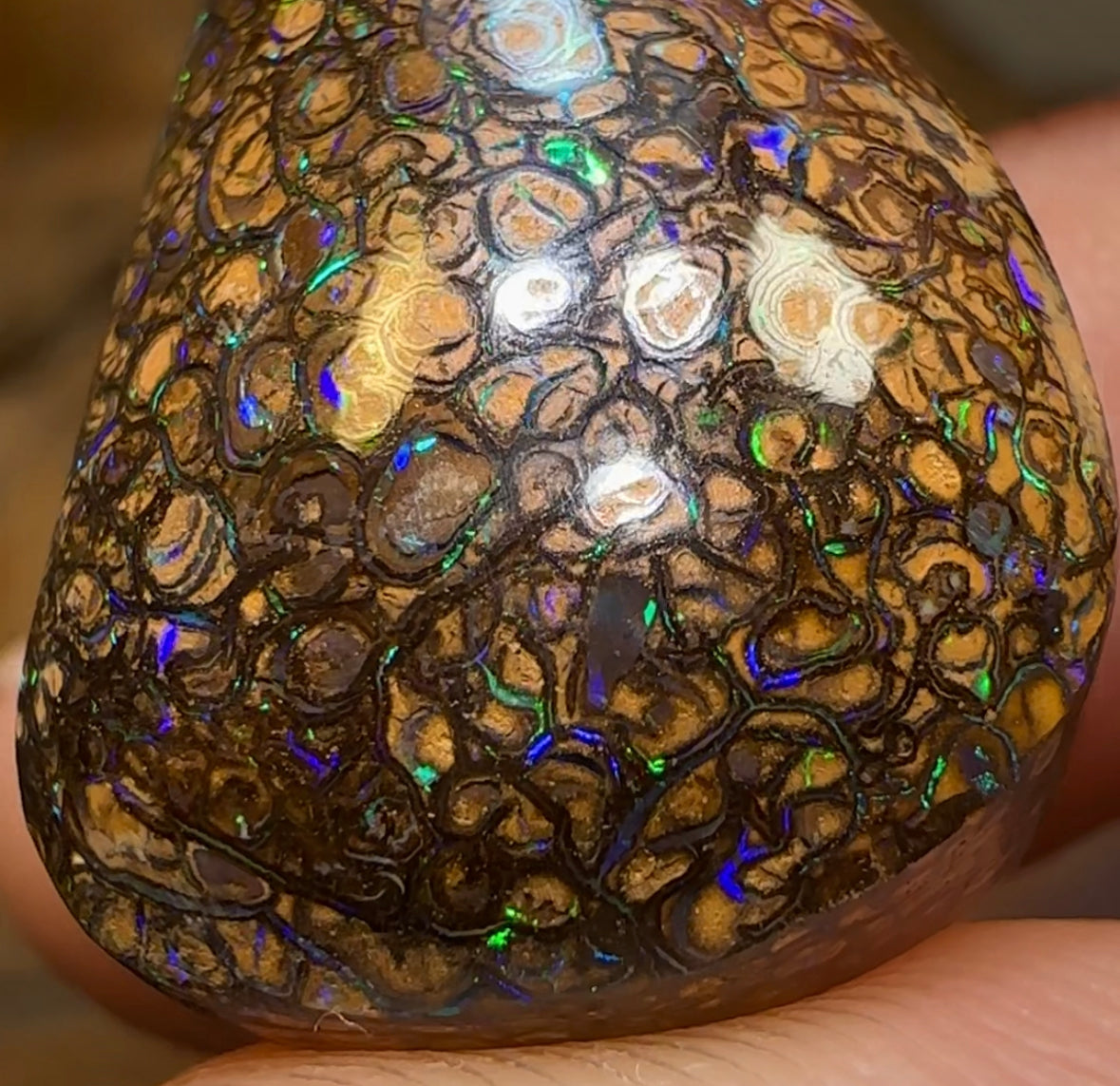 40.4cts - Dark Tribal pattern Australian Boulder Opal from Yowah. - Opal Whisperers