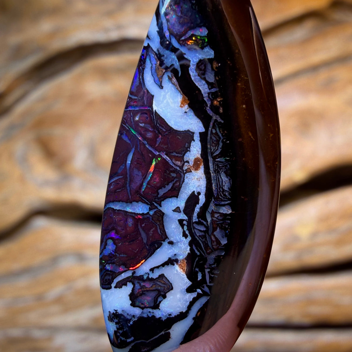 TGIF 24.1cts - Tribal Queensland Boulder Opal. Australian Opal