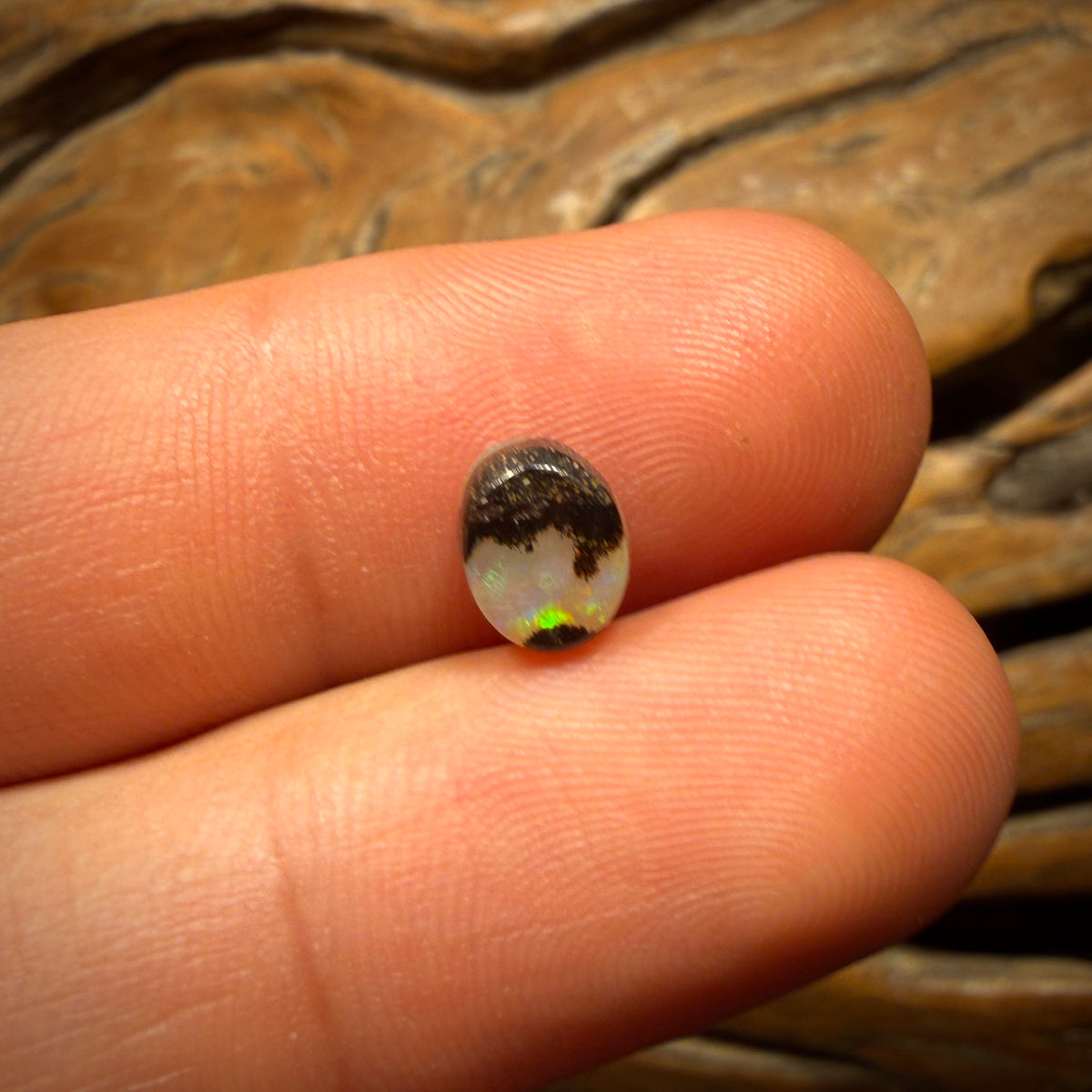 1.5cts - Australian Boulder Seam Opal